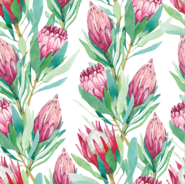 Protea